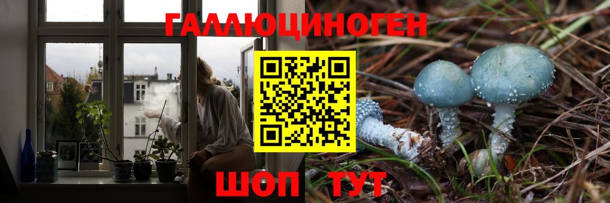 Тимашёвск  Псилоцибиновые грибы Cubensis  Вход с VPN 